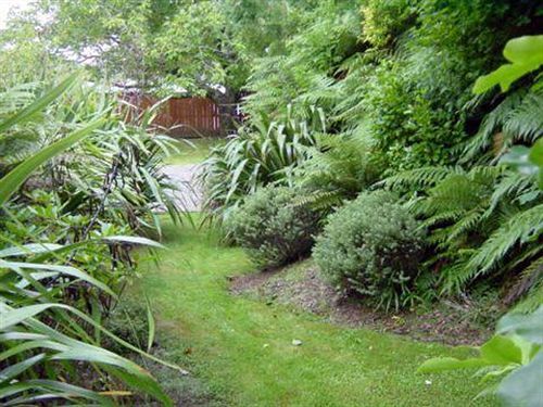 Turangi Trout Lodge Luaran gambar